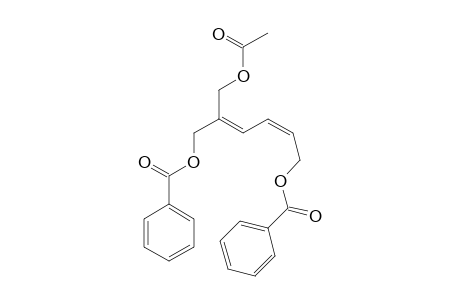 GRANDIUVARIN_C;1,6-DIBENZOYLOXY-2-ACETOXYMETHYLHEX-2-(E),4-(Z)-DIENE