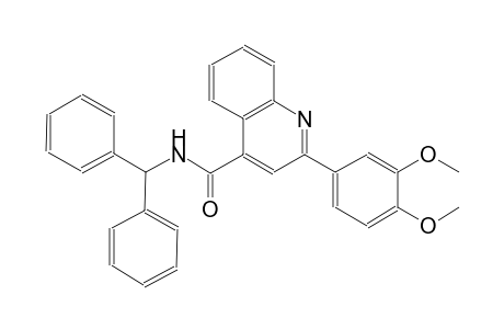 N-benzhydryl-2-(3,4-dimethoxyphenyl)-4-quinolinecarboxamide