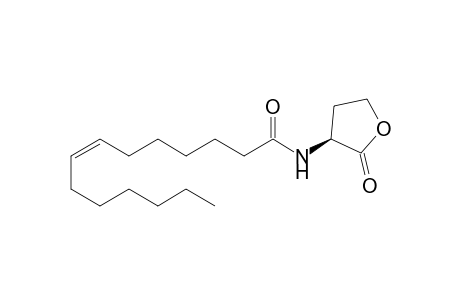 (S)-N-(7Z)-Tetradecenoyl-homoserine lactone