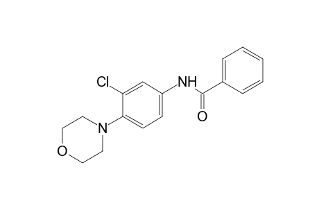 3'-chloro-4'-morpholinobenzanilide