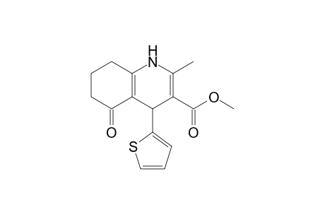 2-Methyl-5-oxo-4-thiophen-2-yl-4,6,7,8-tetrahydro-1H-quinoline-3-carboxylic acid methyl ester