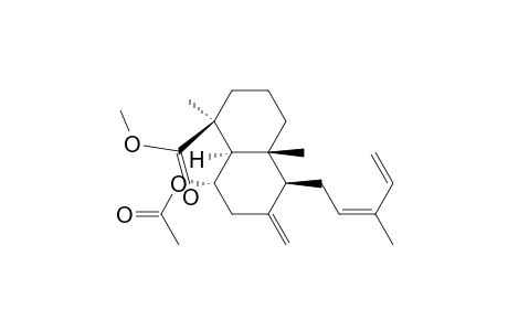 1-Naphthalenecarboxylic acid, 8-(acetyloxy)decahydro-1,4a-dimethyl-6-methylene-5-(3-methyl-2,4-pent adienyl)-, methyl ester, [1S-[1.alpha.,4a.alpha.,5.alpha.(Z),8.beta.,8a.beta.]]-