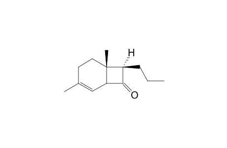 exo-3,6-Dimethyl-7-propylbicyclo4.2.0]oct-2-en-8-one