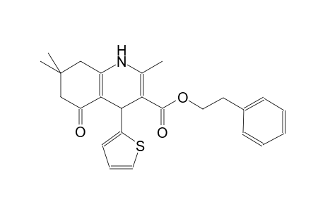 2-phenylethyl 2,7,7-trimethyl-5-oxo-4-(2-thienyl)-1,4,5,6,7,8-hexahydro-3-quinolinecarboxylate