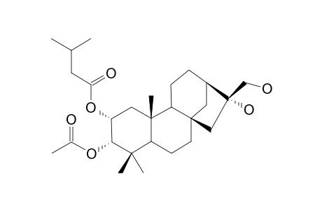 16R-2-ALPHA-(3-METHYLBUTANOYLOXY)-3-ALPHA-ACETOXYPHYLLOClADANE-16,17-DIOL