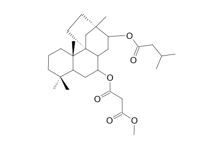 METHYL-13-ISOVALEROYL-7-MALONYLOXY-THYRSIFLORANE