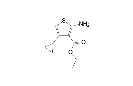 3-thiophenecarboxylic acid, 2-amino-4-cyclopropyl-, ethyl ester