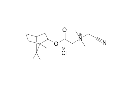 N-(cyanomethyl)-N,N-dimethyl-2-oxo-2-[(1,7,7-trimethylbicyclo[2.2.1]hept-2-yl)oxy]ethanaminium chloride
