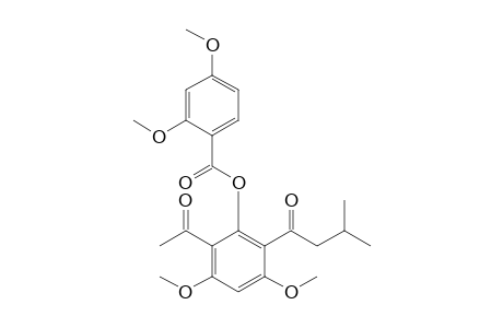 2-Acetyl-3,5-dimethoxy-6-(3-methylbutanoyl)phenyl-2,4-dimethoxybenzoate