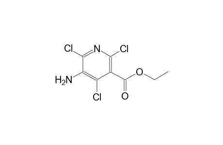 Ethyl 5-amino-2,4,6-trichloronicotinate
