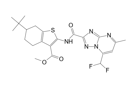 methyl 6-tert-butyl-2-({[7-(difluoromethyl)-5-methyl[1,2,4]triazolo[1,5-a]pyrimidin-2-yl]carbonyl}amino)-4,5,6,7-tetrahydro-1-benzothiophene-3-carboxylate