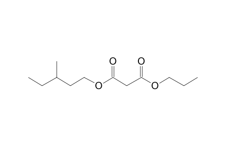 Malonic acid, 3-methylpentyl propyl ester