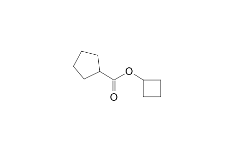 Cyclobutyl cyclopentanecarboxylate