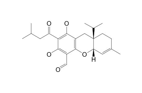 EUGLOBAL-G11