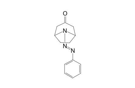 N-Phenylazonortropinone