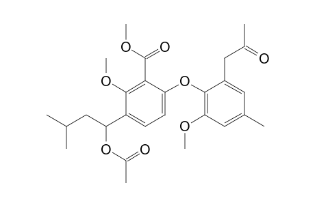 TENELATE-A;METHYL-3-(1-ACETOXY-3-METHYLBUTYL)-2-METHOXY-6-[2-METHOXY-4-METHYL-6-(2-OXOPROPYL)-PHENOXY]-BENZOATE