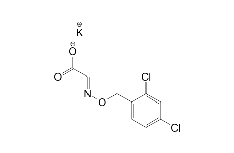 Acetic acid, [[(2,4-dichlorophenyl)methoxy]imino]-, potassium salt