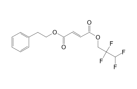 Fumaric acid, 2-phenethyl 2,2,3,3-tetrafluoropropyl ester