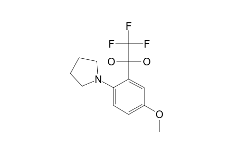 2,2,2-TRIFLUORO-1-[5-METHOXY-2-(1-PYRROLIDINYL)-PHENYL]-1,1-ETHANDIOL
