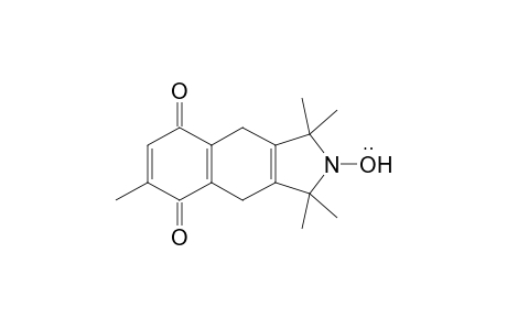 1,1,3,3,6-Pentamethyl-1,3,4,9-tetrahydro-2H-benz[f]isoindol-5,8-dione-2-yloxyl radical