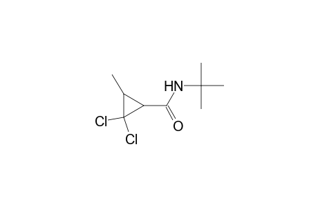 N-tert-butyl-2,2-bis(chloranyl)-3-methyl-cyclopropane-1-carboxamide