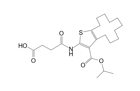4-{[3-(isopropoxycarbonyl)-4,5,6,7,8,9,10,11,12,13-decahydrocyclododeca[b]thien-2-yl]amino}-4-oxobutanoic acid