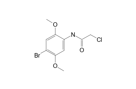 N-(4-bromo-2,5-dimethoxyphenyl)-2-chloroacetamide