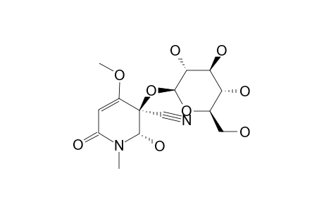 ACALYPHIN;(-)-(5R,6S)-5-CYANO-5-BETA-D-GLUCOPYRANOSYLOXY-6-HYDROXY-4-METHOXY-1-METHYL-2-(5,6-DIHYDRO)-PYRIDONE