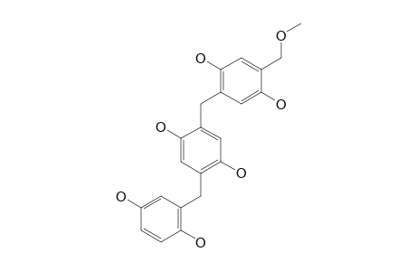 2-[2,5-DIHYDROXY-4-(METHOXYMETHYL)-BENZYL]-5-(2,5-DIHYDROXYBENZYL)-BENZENE-1,4-DIOL