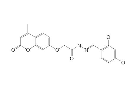 (E)-N'-(2,4-DIHYDROXYBENZYLIDENE)-2-(4-METHYL-2-OXO-2H-CHROMEN-7-YLOXY)-ACETOHYDRAZIDE