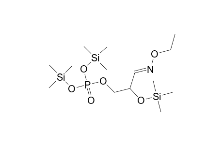 Phosphoric acid, 3-(ethoxyimino)-2-[(trimethylsilyl)oxy]propyl bis(trimethylsilyl) ester, (E)-(.+-.)-