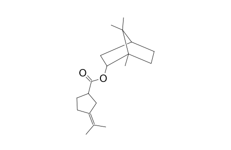 CYCLOPENTANECARBOXYLIC ACID, 3-ISOPROPYLIDENE-, BORNYL ESTER