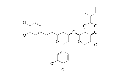 ALNUSIDE-C;(5S)-1,7-BIS-(3,4-DIHYDROXYPHENYL)-5-HYDROXY-3-HEPTANONE-5-O-[2-(2-METHYLBUTENOYL)]-BETA-D-XYLOPYRANOSIDE