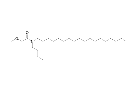 Acetamide, 2-methoxy-N-butyl-N-octadecyl-