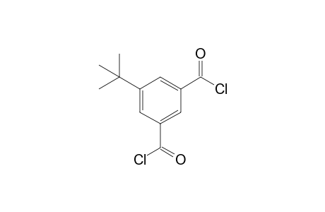 5-tert-Butylbenzene-1,3-dicarbonyl chloride