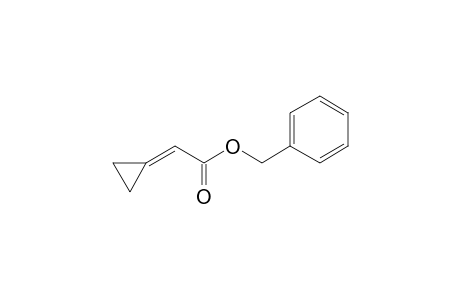 benzyl 2-cyclopropylideneacetate