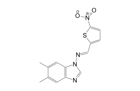 N-(5,6-dimethyl-1H-benzimidazol-1-yl)-N-[(E)-(5-nitro-2-thienyl)methylidene]amine
