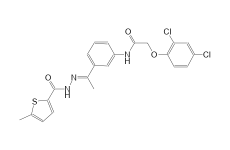 2-(2,4-dichlorophenoxy)-N-(3-{(1E)-N-[(5-methyl-2-thienyl)carbonyl]ethanehydrazonoyl}phenyl)acetamide