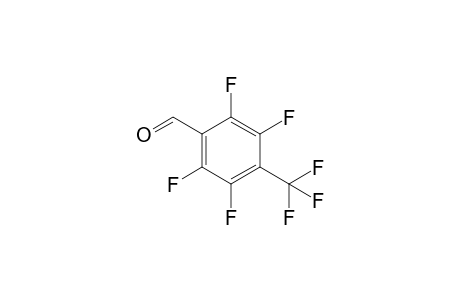 2,3,5,6-tetrafluoro-4-(trifluoromethyl)benzaldehyde