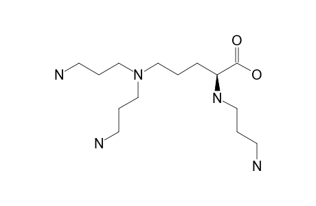 N,N,N'-TRIS-(3-AMINOPROPYL)-L-ORNITHINE