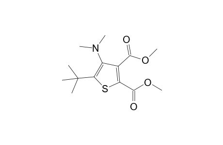 Dimethyl 5-(t-butyl)-4-(dimethylamino)thiophene-2,3-dicarboxylate