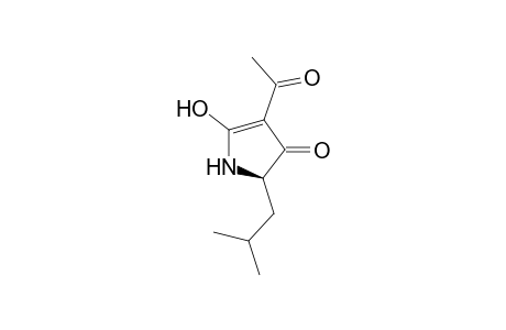 (R) 4-Acetyl-1,2-dihydro-5-hydroxy-2-(2'-methylpropyl)-3H-pyrrol-3-one