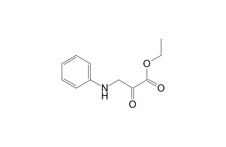 Propanoic acid, 2-oxo-3-(phenylamino)-, ethyl ester