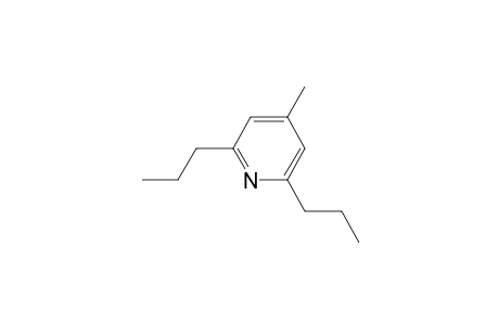 Pyridine, 4-methyl-2,6-dipropyl-
