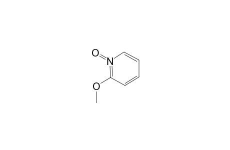 2-Methoxy-pyridine-N-oxide