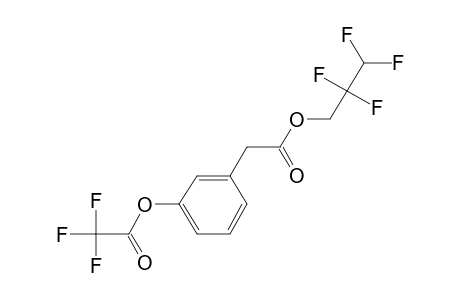 3-Hydroxyphenylacetic acid, o-trifluoroacetyl-, 2,2,3,3-tetrafluoro-1-propyl ester