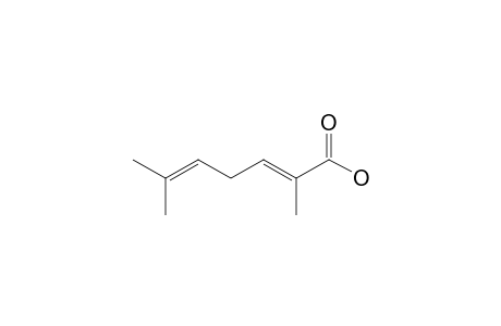 (2E)-2,6-DIMETHYL-2,5-HEPTADIENOIC-ACID