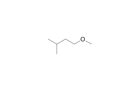 Methyl isopentyl ether
