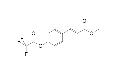 p-Coumaric acid METFA