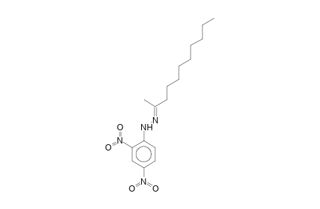 (2E)-2-Undecanone (2,4-dinitrophenyl)hydrazone